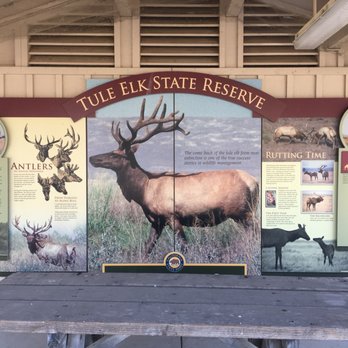 Tule Elk State Natural Reserve - Parks Near Me - Buttonwillow, California