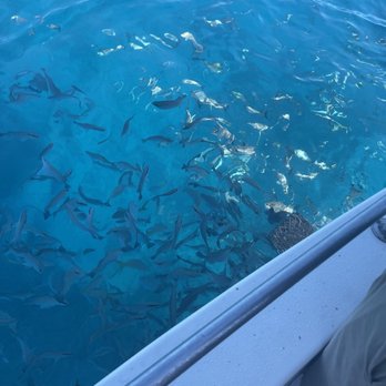 Sea Dog Charters - Unlimited snapper in the keys! - Boating Near Me - Marathon, Florida