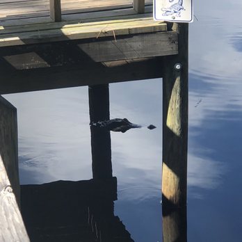 Audubon Bird Sanctuary - Parks Near Me - Dauphin Island, Alabama Audubon Bird Sanctuary - Parks Near Me - Dauphin Island, Alabama