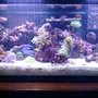 Photo of Gnarly Aquatics