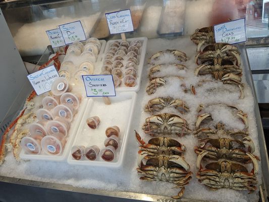 City Fish Co. by null