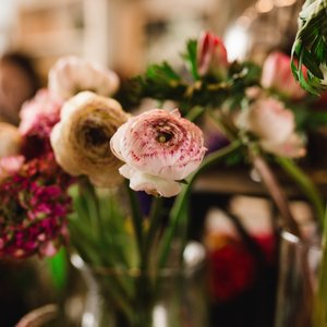 Berkeley Neighborhood and slightly beyond