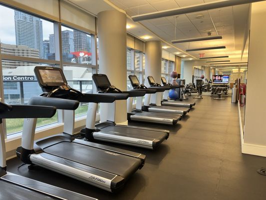 Delta Hotels Toronto by null