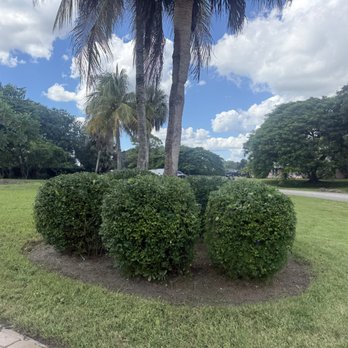 Rigo Landscaping - Lawn Services Near Me Rigo Landscaping - Lawn Services Near Me