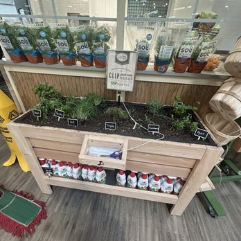Lowes Foods - Cut your own herbs. - Grocery Near Me - Kannapolis, North Carolina