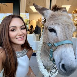 South Florida Pony Rental Services