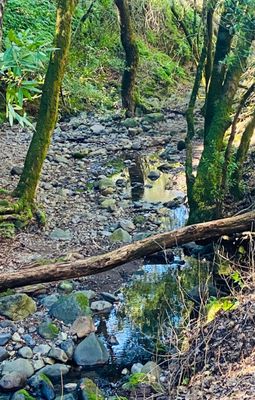Trione-Annadel State Park by null