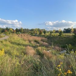 Uŋci Makha Park - Wonderfully wild nature vibe