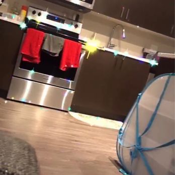 Identity Miami - Kitchen - Apartments Near Me - Sweetwater, Florida Identity Miami - Kitchen - Apartments Near Me - Sweetwater, Florida