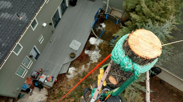 Heartwood Tree Service