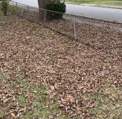 Elite Lawn Care Plus