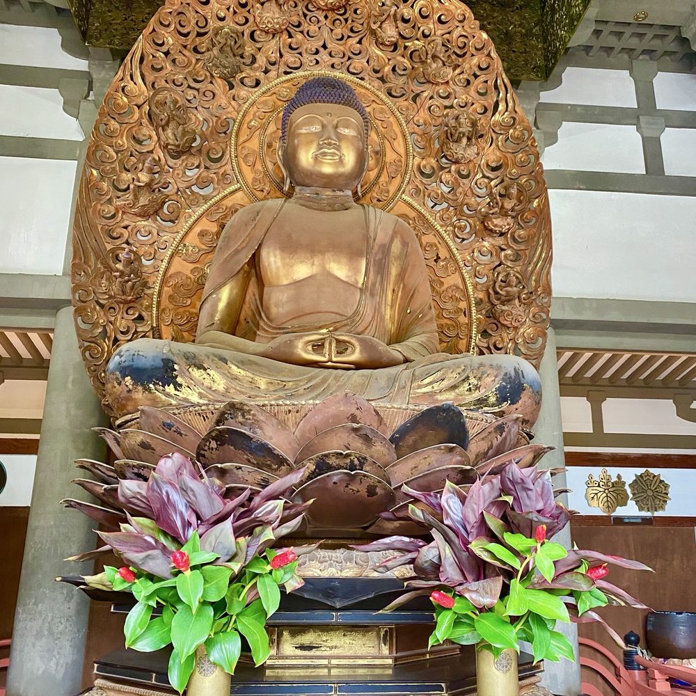 Go Tours Hawaii - Buddha at the Temple - Bus Tours Near Me - Honolulu, Hawaii Go Tours Hawaii - Buddha at the Temple - Bus Tours Near Me - Honolulu, Hawaii