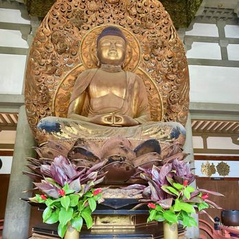 Go Tours Hawaii - Buddha at the Temple - Bus Tours Near Me - Honolulu, Hawaii Go Tours Hawaii - Buddha at the Temple - Bus Tours Near Me - Honolulu, Hawaii