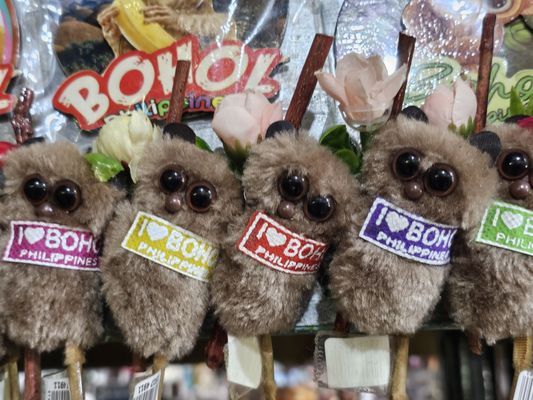 Philippine Tarsier Sanctuary by null