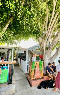 Fig Tree Cafe by null