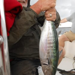 Large Spring F. Albacore on Light Tackle!!