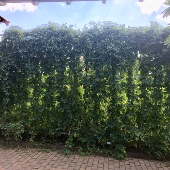 Allen Centennial Gardens - Hops! - Parks Near Me - Madison, Wisconsin