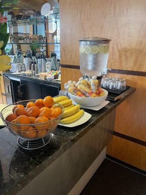 Hotel Giraffe by Library Hotel Collection by null