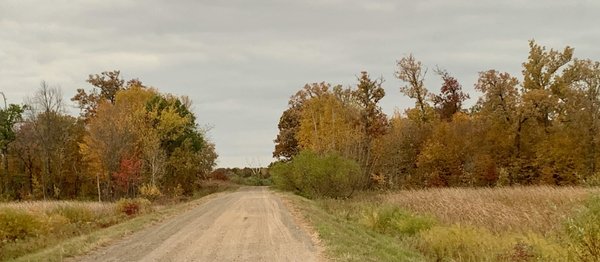 Sherburne National Wildlife Refuge by null