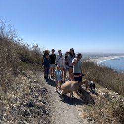 The Surfing Goats - Nature Preserve