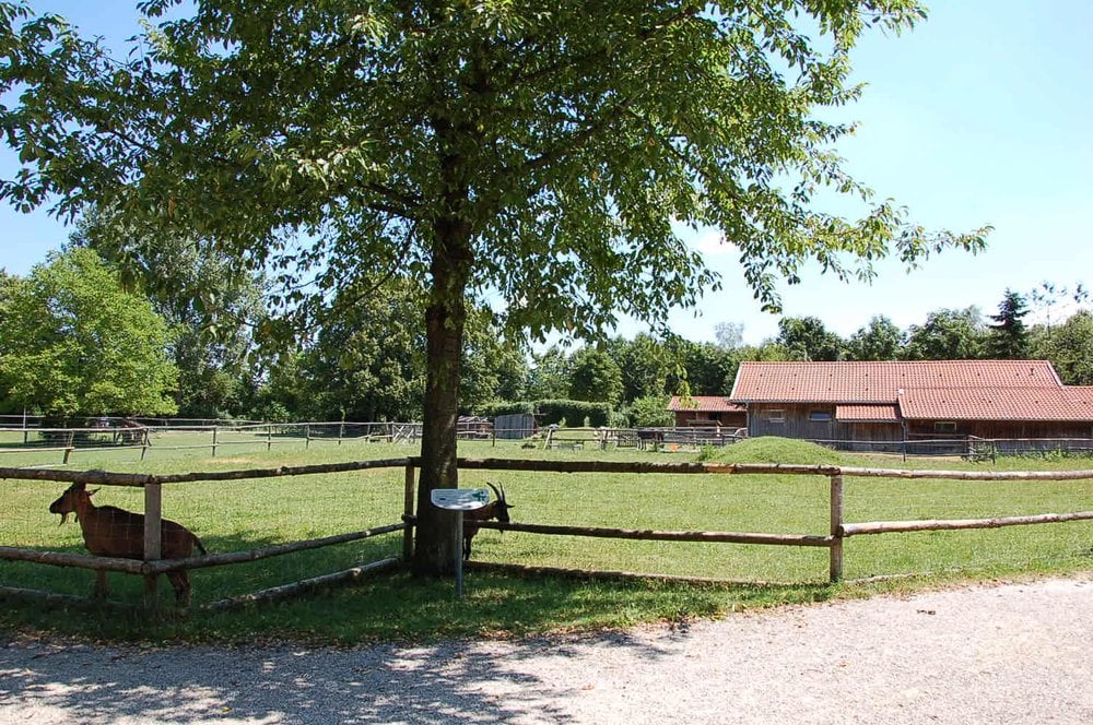 Umweltgarten Neubiberg