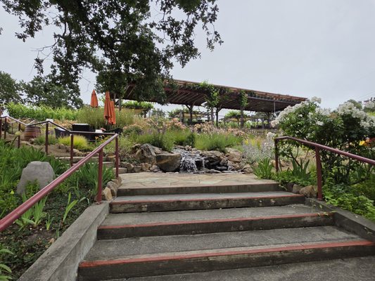 Martinelli Vineyards & Winery by null
