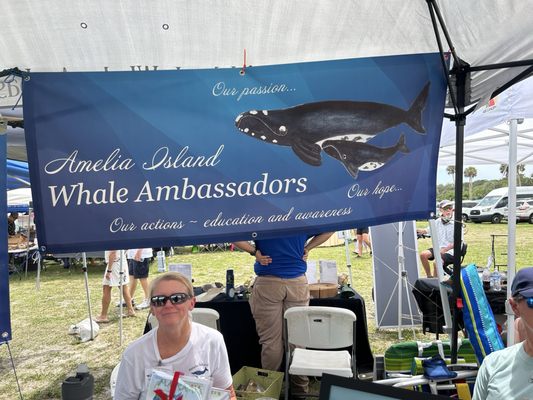 Main Beach Park by null