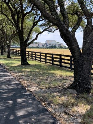 Southfork Ranch by null