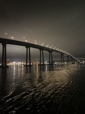 City Cruises by null