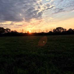 Chrislin Farm