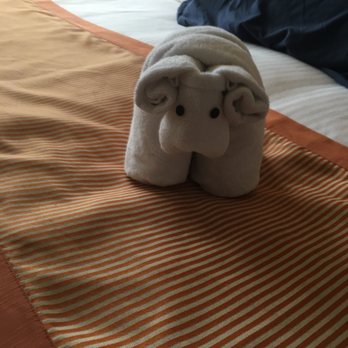 Carnival - towel hippo - Travel Services Near Me