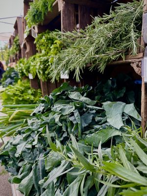 Grand Army Plaza Greenmarket by null