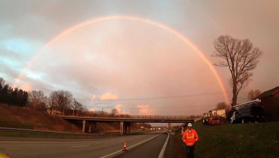 Expert Tree Service - tree service in Saugerties, NY