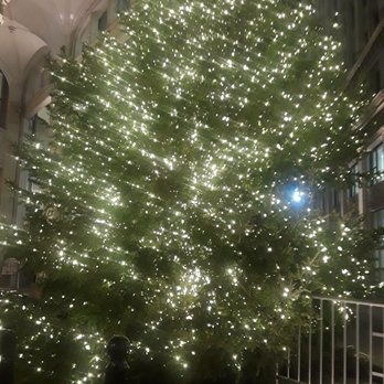 The Magnificent Mile - The Christmas tree outside the old Wrigley building on Michigan Avenue - Local Flavor Near Me - Chicago, Illinois