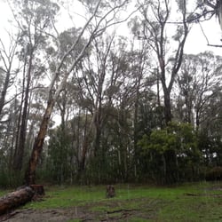 Jubilee Lake Holiday Park - Non powered sites