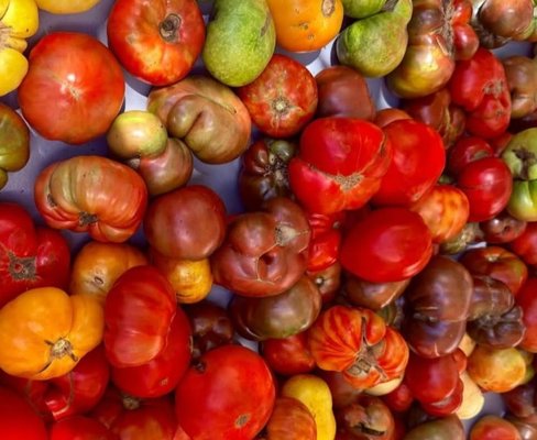 Eckerton Hill Farm by null