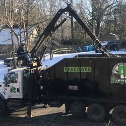 Addison Tree Care