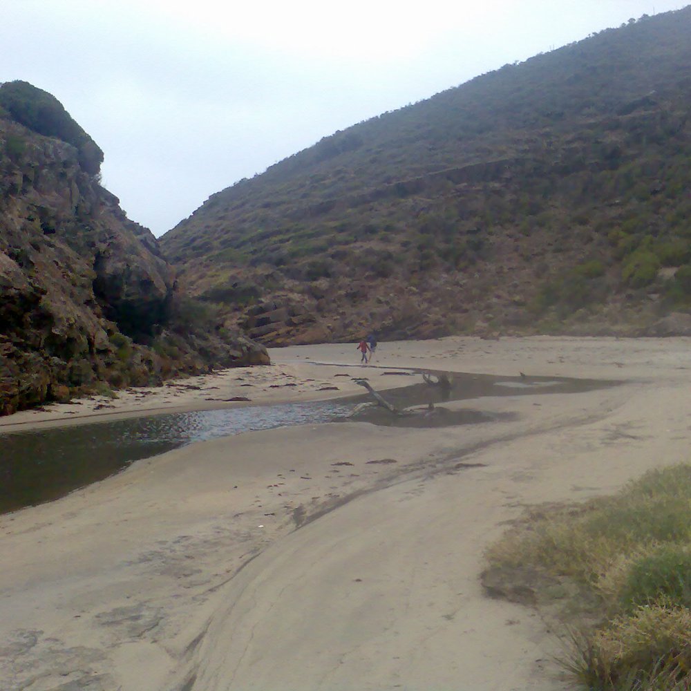 Deep Creek Conservation Park - Creek - Parks Near Me - Deep Creek, SA