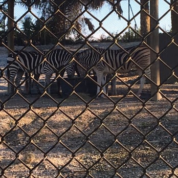 Naples Zoo - Zoos Near Me - Naples, Florida