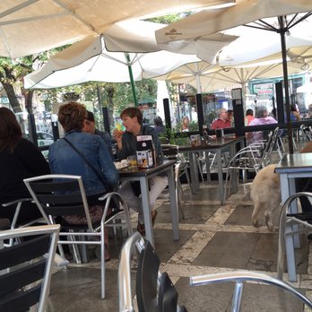 La Plaza 3 - They allow dogs in Spain - Tapas Bars Near Me - Granada, GR La Plaza 3 - They allow dogs in Spain - Tapas Bars Near Me - Granada, GR