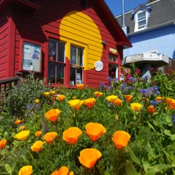 Coast Highway Artists Collective - Spring at the gallery