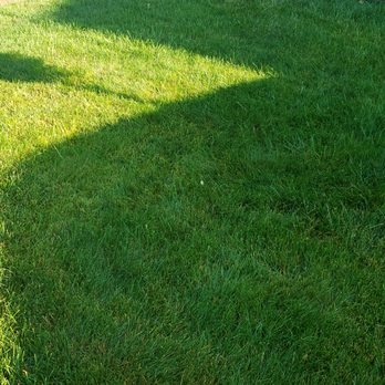 TruGreen Lawn Care - Tree Services Near Me - Orchard Park, New York TruGreen Lawn Care - Tree Services Near Me - Orchard Park, New York