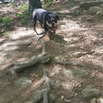 Joe's Rock - Hiking Near Me - Wrentham, Massachusetts Joe's Rock - Hiking Near Me - Wrentham, Massachusetts