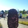 Photo of Gather: Quarry Park