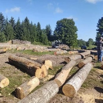 Wade Logging - Wade Logging - Tree Services Near Me - Fife Lake, Michigan Wade Logging - Wade Logging - Tree Services Near Me - Fife Lake, Michigan