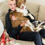 Photo of South Bay Doggy Business