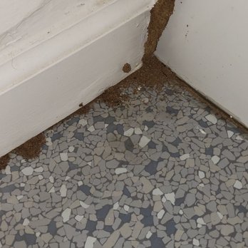 The Long Barn Lodge - Termites?  If not something else disgusting in the bathroom. - Hotels Near Me - Long Barn, California