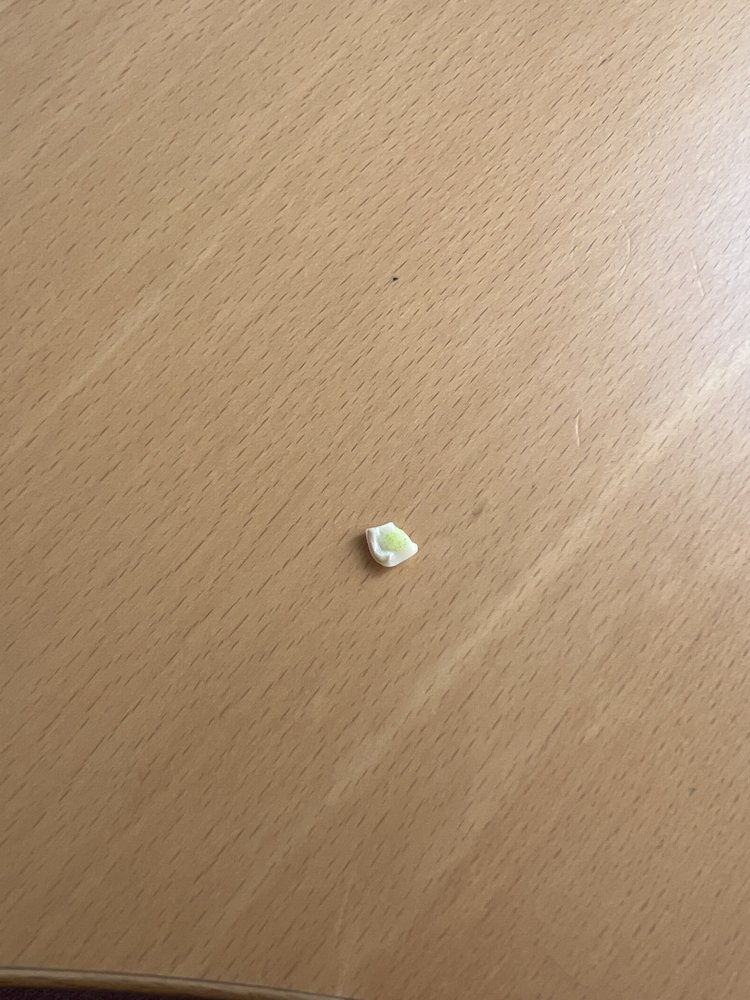 Austin R Smith, DDS - sleep specialist in Lacey, WA