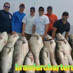 Brawler II Charters