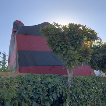 Anteater Termite - Tent fumigation - Pest Control Near Me - Los Angeles, California Anteater Termite - Tent fumigation - Pest Control Near Me - Los Angeles, California